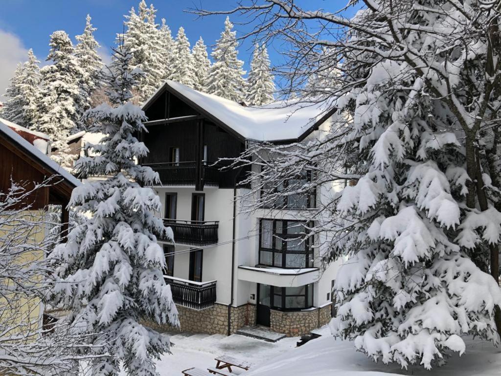 Montana Residence Пояна-Брашов Екстер'єр фото